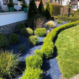Abattage professionnel en toute sécurité pour vos grands arbres Gabarret